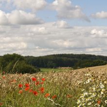 Impressionen 16.jpg