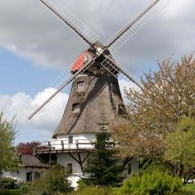 Groe-26a.jpg